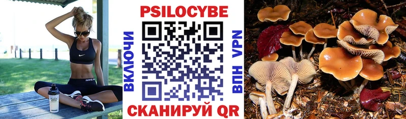 KRAKEN зеркало  Истра  Псилоцибиновые грибы GOLDEN TEACHER  дарк нет Telegram  дарнет шоп 