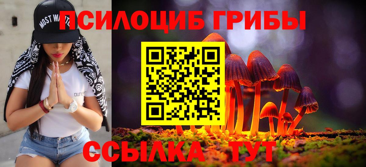 Галлюциногенные грибы ЛСД Истра