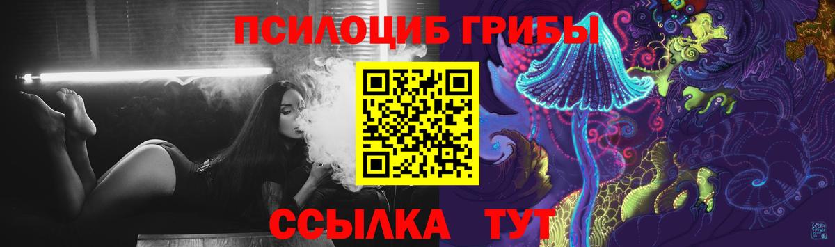 Псилоцибиновые грибы прущие грибы  Вход с VPN  Истра 